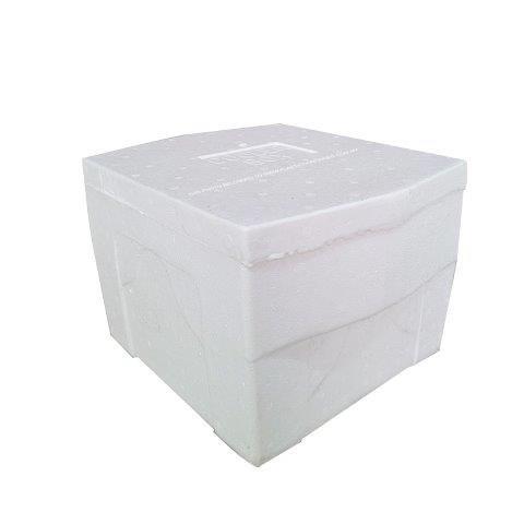 STYROFOAM BOX (x2) 50 LITERS