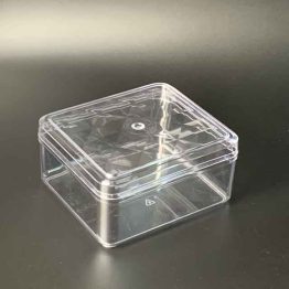 Clear Rectangle Container PL800B