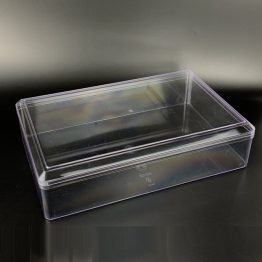 CLEAR RECTANGLE CONTAINER WK05