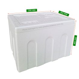 Mini foam food box