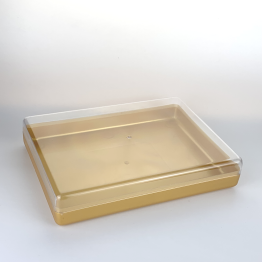 gold base PL500 Rectangle Container For Chocolate Packaging