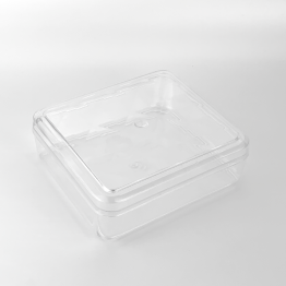 CLEAR CONTAINER FOR PINEAPPLE TART