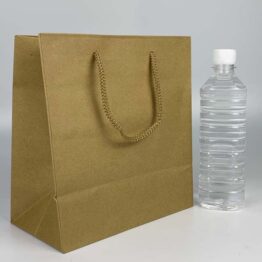 Paper Bag Brown Medium with PP Cord Handle BROWN KRAFT