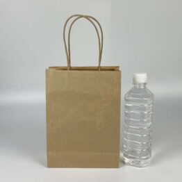 Paper Bag Brown Small with Twisted Handle