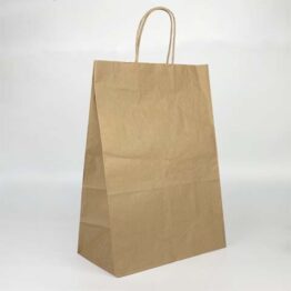Paper Bag with Twisted Handle No.75 PB75 280x150x405mm 150gsm