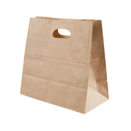 PAPER BAG WITH HOLE HANDLE